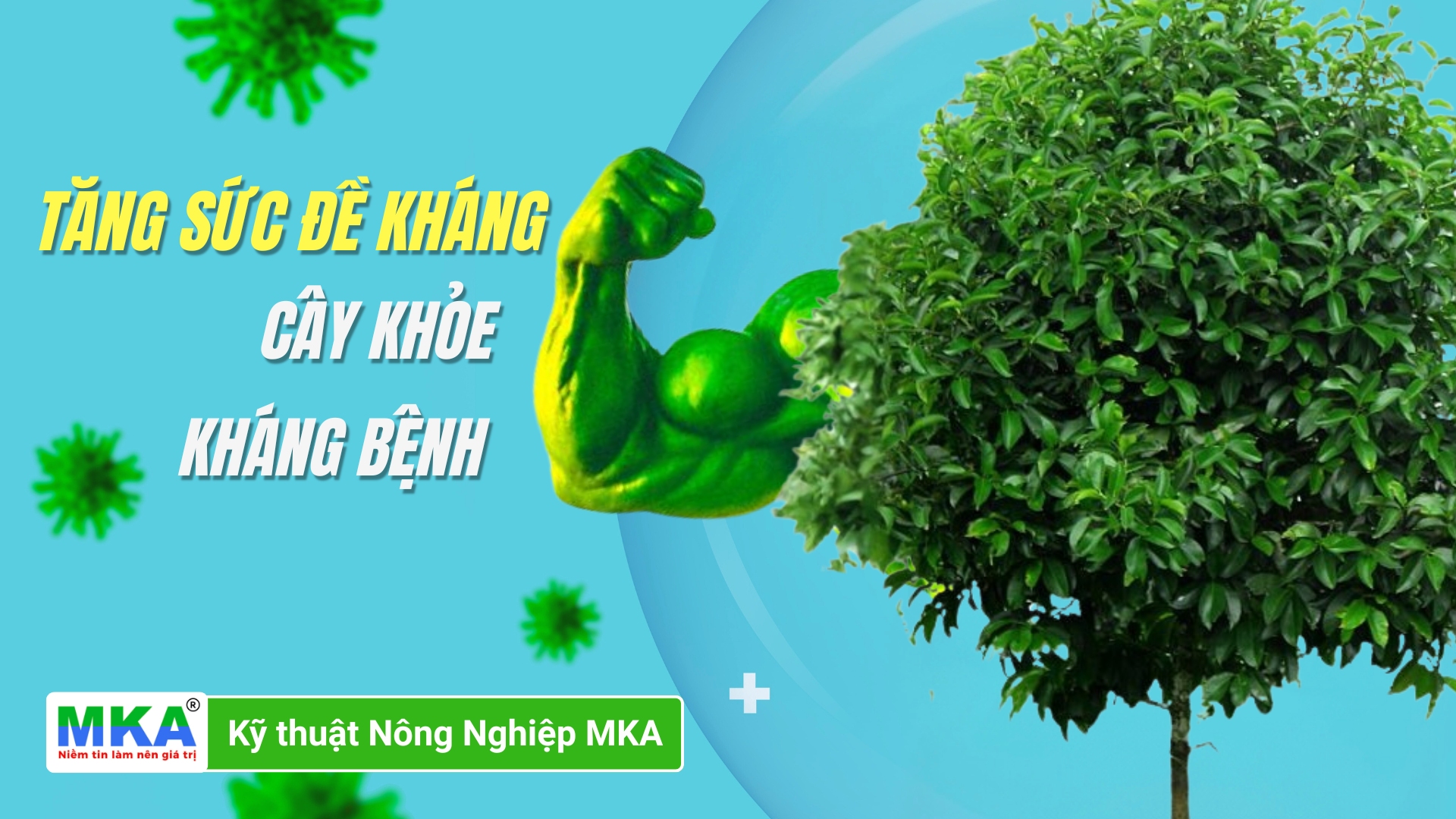 Cách tăng sức đề kháng cho cây trồng khỏe, kháng bệnh